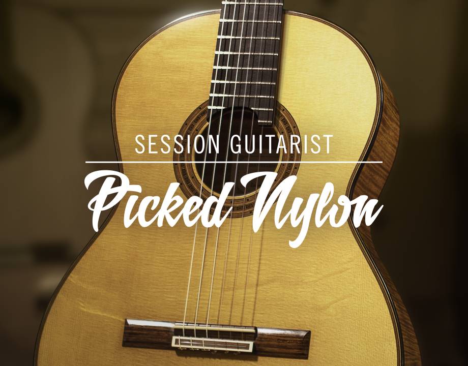 Native Instruments Session Guitarist - Picked Nylon